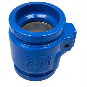 Shouldered Single Door Non-return Valve