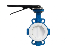 Wafer Butterfly Valve - Solid Disc PTFE (F4) PN10