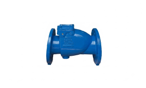 Flanged Swing Check Valve PN16